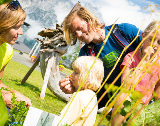 Alpen-und Kräutergarten am Asitz | © Tom Bause