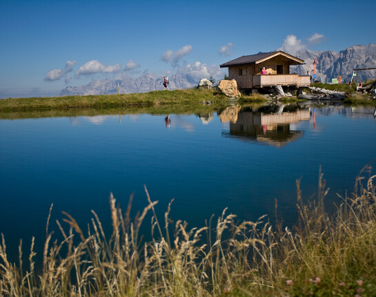 Wandern am Asitz | © Leo Himsl