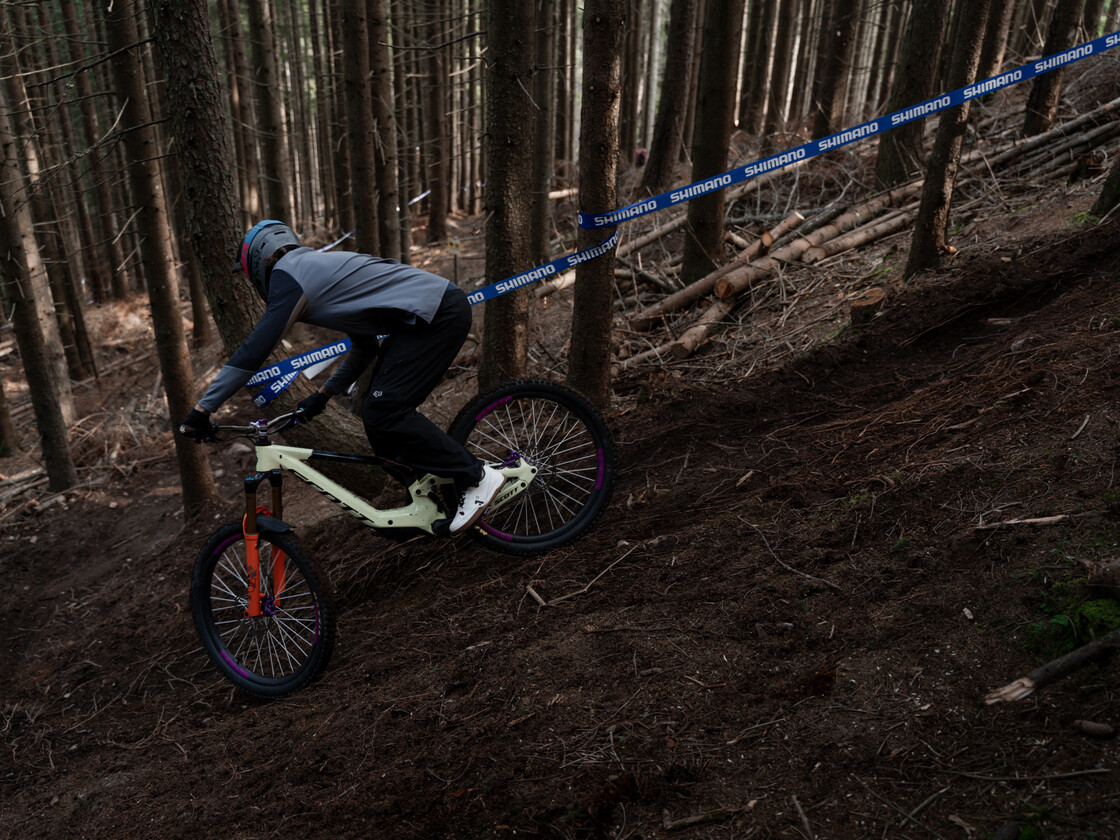 Mountainbiker in grauem Trikot fährt durch ein steiles Waldstück auf wurzeligem Trail im Bikepark Leogang, flankiert von blauen Shimano-Streckenmarkierungen. | © Yvonne Hörl