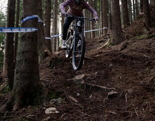 Mountainbikerin fährt konzentriert zwischen Bäumen über Wurzeln auf einem anspruchsvollen Abschnitt im Waldtrail von Leogang.