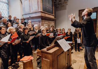 04_Apertto_krabart.passionaperto-6