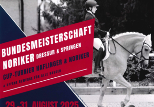 Bundesmeisterschaft Noriker
