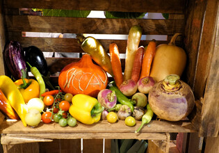 10_SlowFood_Markt01©Slow Food Pinzgau