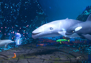 03_Der letzte Walsänger 02®Einhorn-Film 1