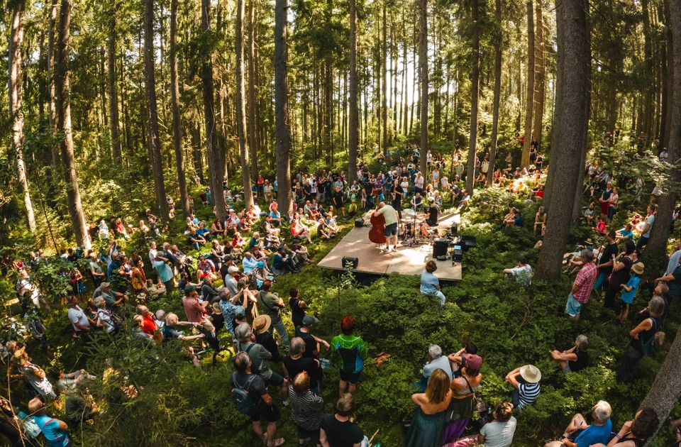 Kollingwald | © Michael Geißler