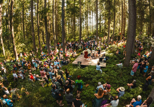 Kollingwald | © Michael Geißler