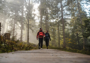 Wald | © Michael Geissler