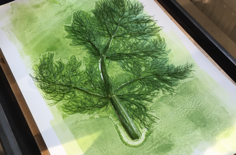 NATURdrucke 2