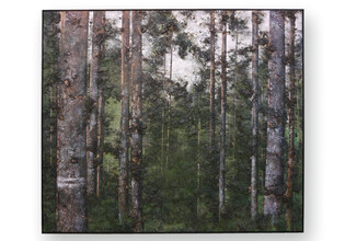 Durchforstete Bestandsaufnahme I _Diptychon__linke