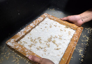 Papierschöpfen_Herbst_WEB