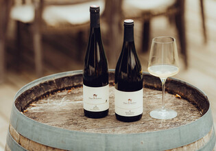 Winzerwoche Matthias Hager