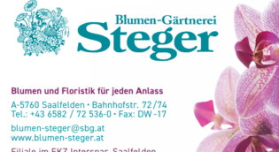 Blumen Steger neu