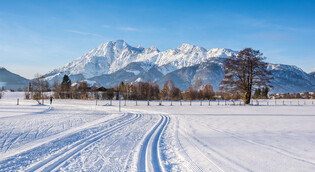 Langlauf | © Peter Kühnl