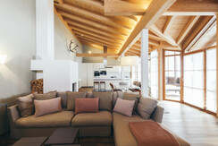 Penthouse - living area Penthouse - living area