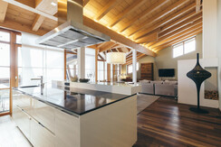 Penthouse - kitchen area Penthouse - kitchen area