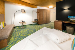 Zimmer Superior  - Hotel die Hindenburg