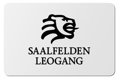 Saalfelden Leogang Card Saalfelden Leogang Card