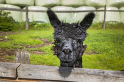 20200922_MatzhofAussen_094_klein