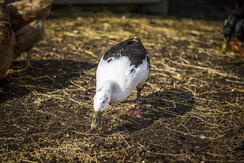 20200922_MatzhofAussen_119_klein