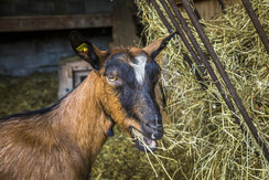 20200922_MatzhofAussen_138_klein