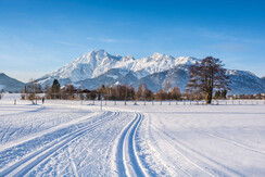 Winterlandschaft by Peter Kühnl