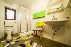 Badezimmer mit Dusche und WC