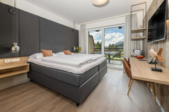 Room Pictures_Room_SDZ_1