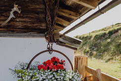 8F983728-959C-455D-8584-CD7A641C7C6C