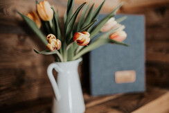 Obergrundhof-Web-email-88