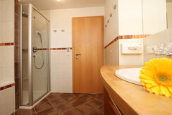 AppartementfürZwei-Steiner-Leogang-Regendusche