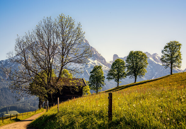 Herbst in der Wanderregion Saalfelden Leogang | © Peter Kuhnl